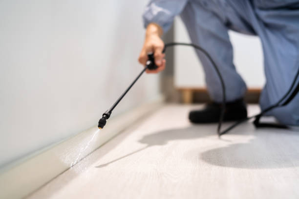 Best Local Pest Control Services  in Erie, KS