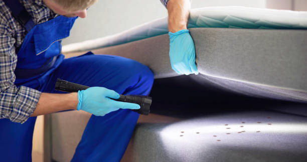 Best Local Pest Control Services  in Erie, KS