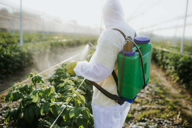 Professional Pest Control in Erie, KS